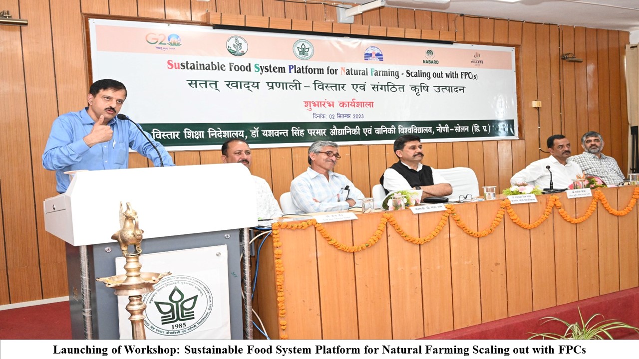 Cover image for DEE section