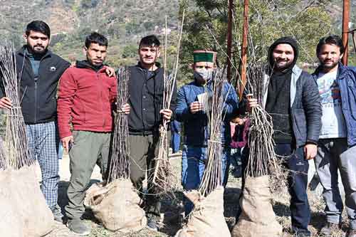 Learn more about extension education services