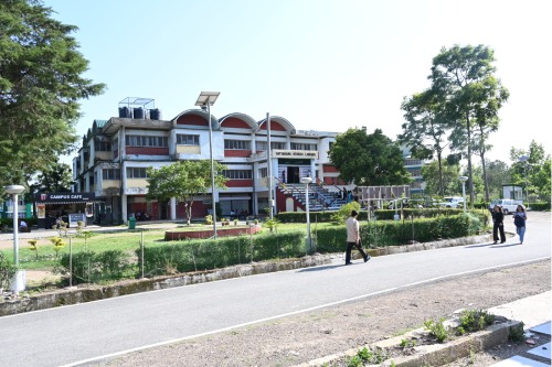 Learn more about the Satyanand Stokes Library